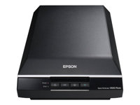 EPSON Perfection V600 Photo A4 Scanner - 9600dpi - 48-bit - OCR Software - USB - Dias/negaitv scan B11B198033