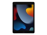 Apple 10.2-inch iPad Wi-Fi + Cellular - 9:e generation - surfplatta - 256 GB - 10.2" IPS (2160 x 1620) - 3G, 4G - LTE - rymdgrå MK4E3KN/A