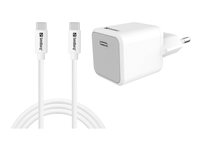 USB-C AC Charger +USB-CC 1M 441-58