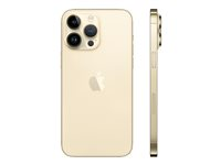 Apple iPhone 14 Pro Max , 17 cm (6.7"), 2796 x 1290 pixlar, 1 TB, 48 MP, iOS 16, Guld MQC43QN/A