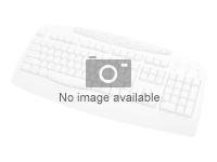 USB BFR-PVC SWISS KEYBOARD KEYBOARD / MOUSE KIT MSD SG 672097-113