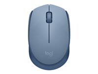 Logitech M171 - Mus - höger- och vänsterhänta - optisk - 3 knappar - trådlös - 2.4 GHz - trådlös USB-mottagare - blå/grå 910-006866