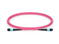 Fiber Patch Cable - MTP - MTP F-F 30m OM4 Multimode, LSZH, FIB993030