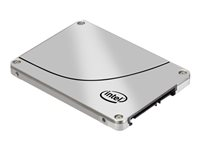 Intel Solid-State Drive DC S3610 Series - Solid state drive - 200 GB - inbyggd - 1.8" - SATA 6Gb/s SSDSC1BG200G401