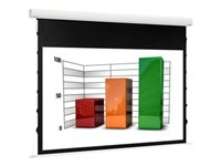 Euroscreen Diplomat Electric Draper-ER Arctiq Omaskerad/helvit 125cm x 125cm MDZ125