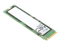 Lenovo ThinkPad - SSD - krypterat - 2 TB - inbyggd - M.2 2280 - PCIe 4.0 x4 (NVMe) - TCG Opal Encryption 2.0 - för ThinkCentre M70q Gen 3, M70s Gen 3, M80q Gen 3, ThinkPad T14 Gen 3, ThinkStation P35X 4XB1D04758