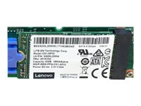 Lenovo 7N47A00129, 32 GB, M.2, 260 MB/s, 6 Gbit/s 7N47A00129