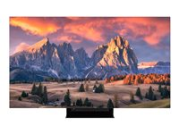 LG 65EP5G-B, Platt skärm för digital skyltning, 165,1 cm (65"), OLED, 3840 x 2160 pixlar, 12/7 65EP5G-B