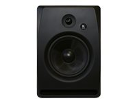 KRAMER Aktivspeaker Dolev 8 2-Wege 8inch Aktiv speaker in Studio-Quality with 100 Watt RMS 60-000074