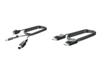 HP DP- och USB-Y-strömkabel, 300 cm, för L7010t, L7014t och L7016t, 0,3 m, USB C, USB C, Svart V4P94AA