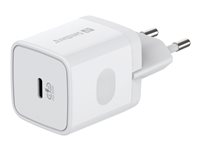 USB-C AC Charger PD20W SAVER 341-42