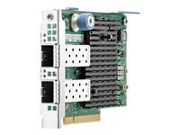 HPE 727055-B21, Intern, Kabel, PCI Express, Ethernet / Fiber, 10000 Mbit/s 727055-B21