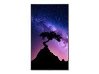 V754Q IGB 75IN LFD TOUCH 3840X2160 4000:1 500CD/QM LED 60004679