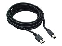HP 300cm DP+USB B-A CABLES V4P96AA