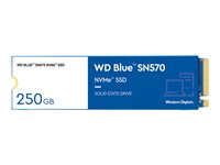 Western Digital WD Blue SN570, 250 GB, M.2, 3300 MB/s WDS250G3B0C