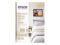 Epson Premium Glossy Photo Paper - Blank - hartsbestruken - Rulle (111,8 cm x 30,5 m) - 165 g/m² - 1 rulle (rullar) fotopapper - för Stylus Pro 11880, Pro 98XX, SureColor SC-P10000, P20000, P8000, P9000, P9500, T7000, T7200 C13S041392