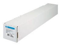 HP Professional Satin Photo Paper roll 44inch 300 g/m2 Q8840A