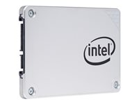 Intel Solid-State Drive Pro 5400s Series - Solid state drive - krypterat - 1 TB - inbyggd - 2.5" - SATA 6Gb/s - 256 bitars AES SSDSC2KF010X6X1