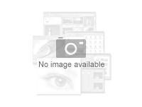 NVIDIA AI Enterprise Essentials - Abonnemangslicens att använda (5 år) + 9x5 Support - 1 GPU - ESD S2S18AAE