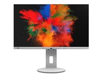 Fujitsu Displays B2410 TE, 60,5 cm (23.8"), 1920 x 1080 pixlar, Full HD, LED, 5 ms, Grå S26361-K1704-V140