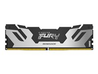 Kingston Technology FURY Renegade, 48 GB, 1 x 48 GB, DDR5, 288-pin DIMM KF564C32RS-48