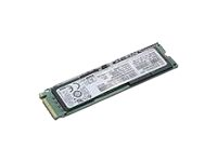 Lenovo 4XB0K48499, 256 GB, M.2 4XB0K48499