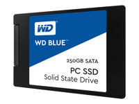 Western Digital Blue PC, 250 GB, 2.5", 540 MB/s, 6 Gbit/s WDS250G1B0A