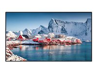 Panasonic TH-43SQE2W, Platt skärm för digital skyltning, 109,2 cm (43"), LCD, 3840 x 2160 pixlar, Wi-Fi TH-43SQE2W