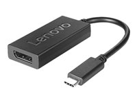 LENOVO USB C to DisplayPort Adapter 4X90L66916