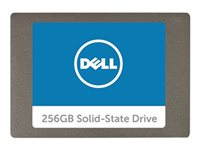 DELL A9794105, 256 GB, 2.5" A9794105